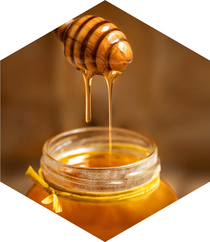 A honey dipper being raised from a full jar of honey.